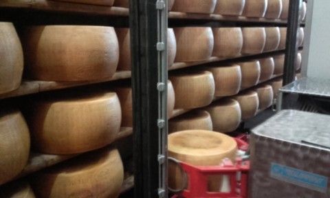 parmigiano reggiano